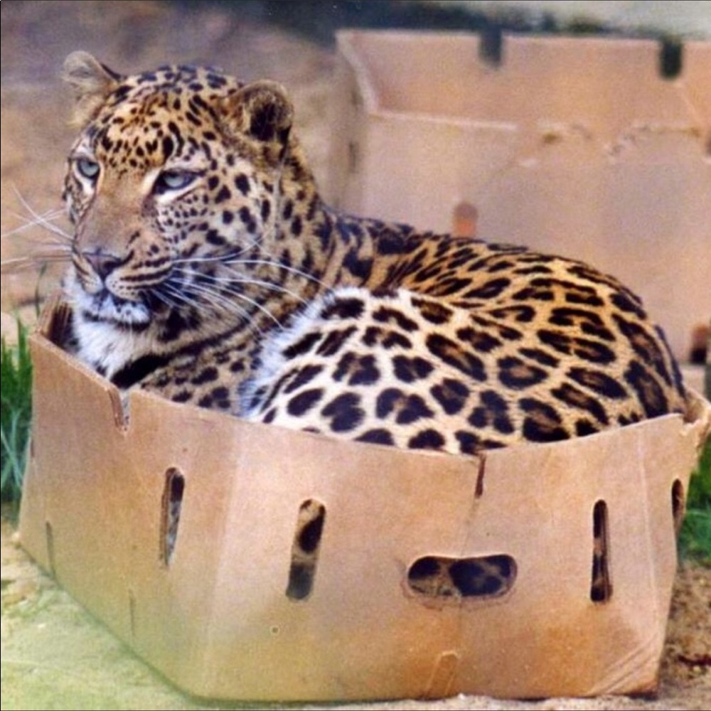 Bundle up!  If it fits, it ships!